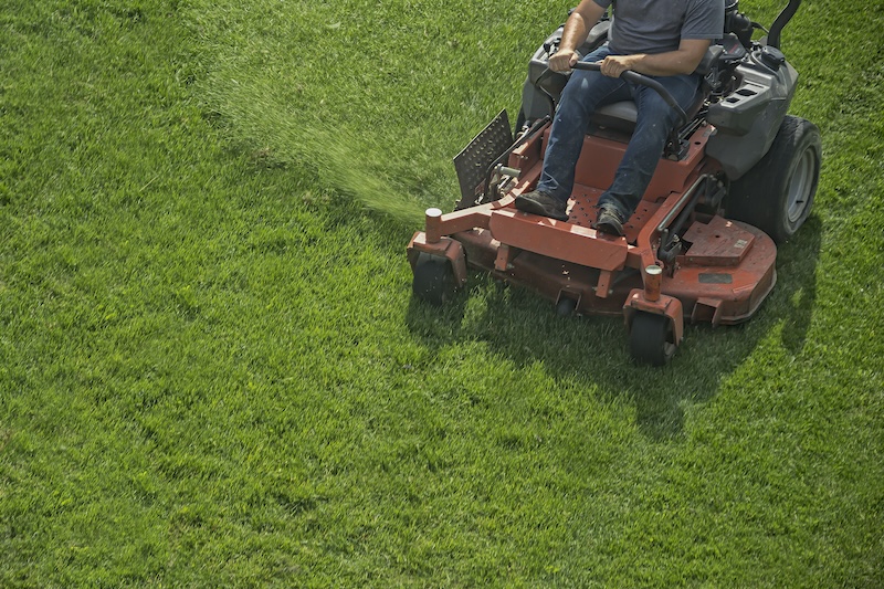 Lawn Mowing Services for Mount Pleasant and Daniel Island