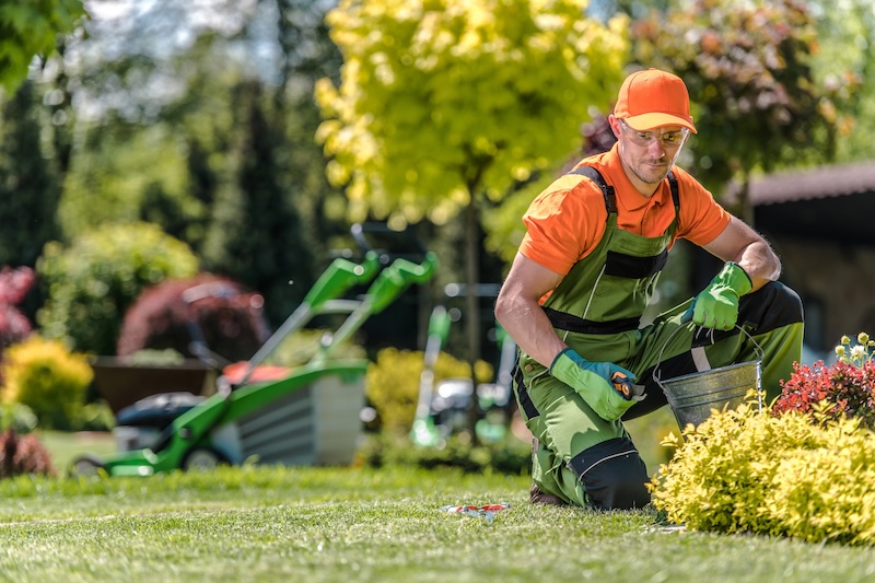 Landscaping Company in Mount Pleasant