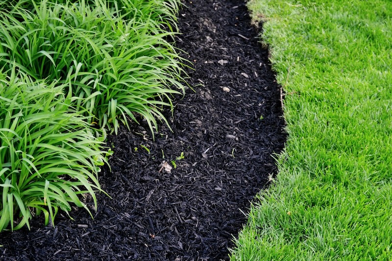 Flower bed and palm tree maintenance company.