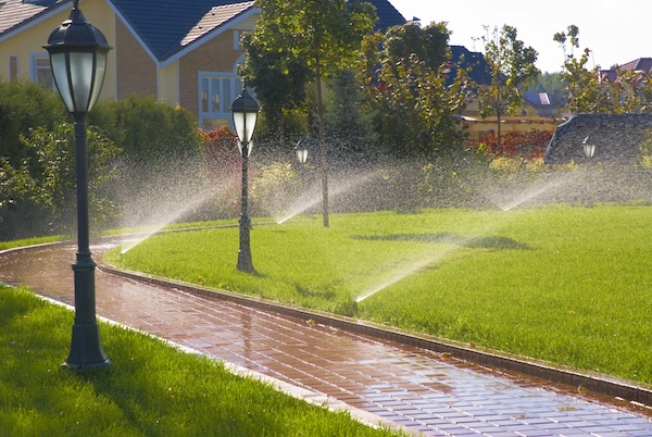 Irrigation Services and Installation