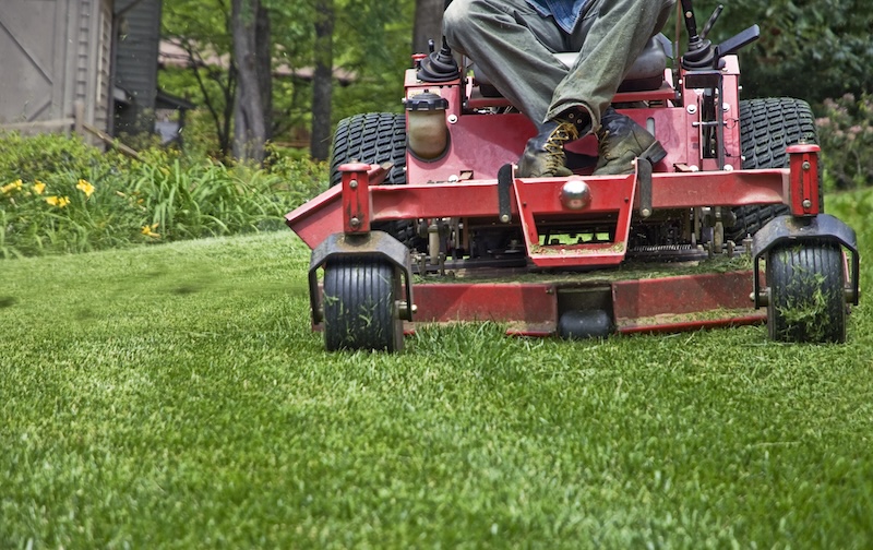 Palm Tree and Lawn Mowing Services