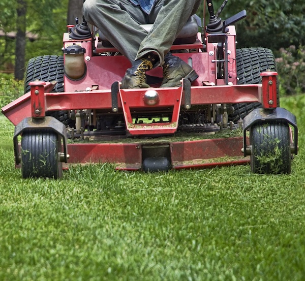 Lawn Mowing Service