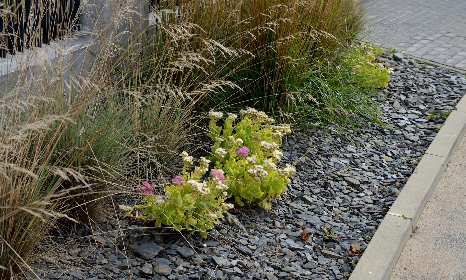 Flower Bed Maintenance