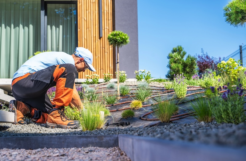 Palm Tree Trimming and Flower Bed Maintenance