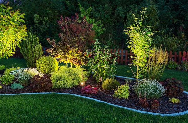 Landscape Lighting Installation