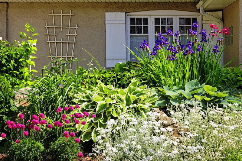 Lawn Maintenance Company Mount Pleasant