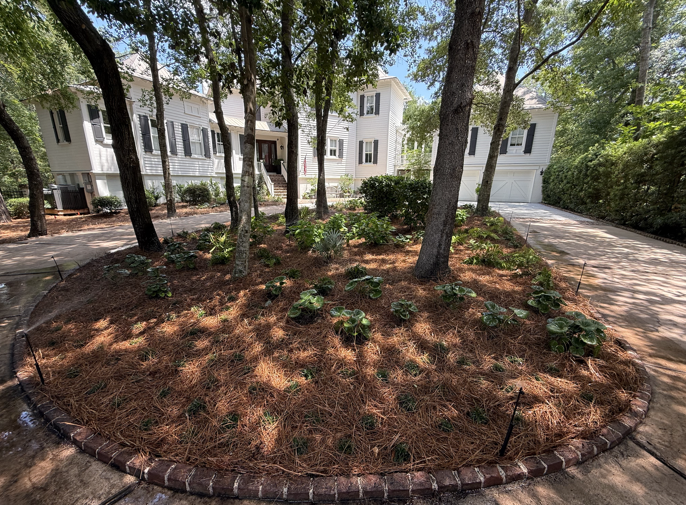 Residential Landscaping Service