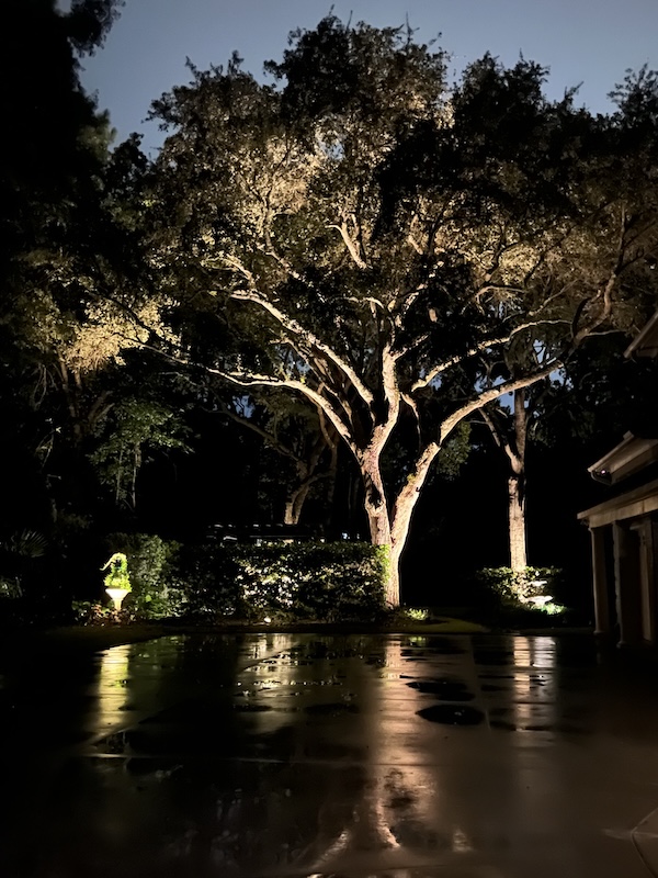 Landscape Lighting Outdoors